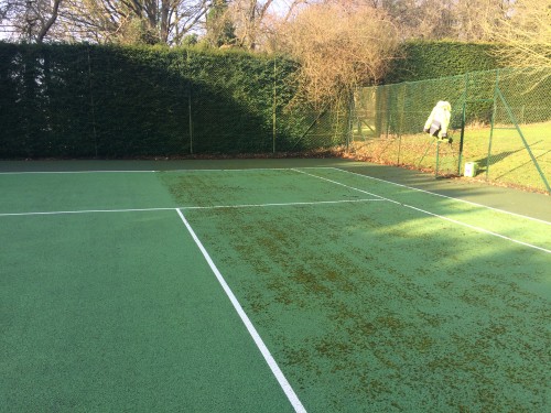 tennis court cleaning